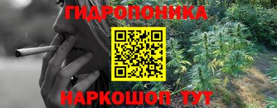 spice Будённовск